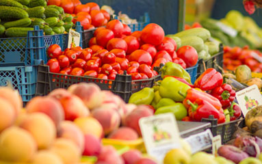 Alimentare Alimentare