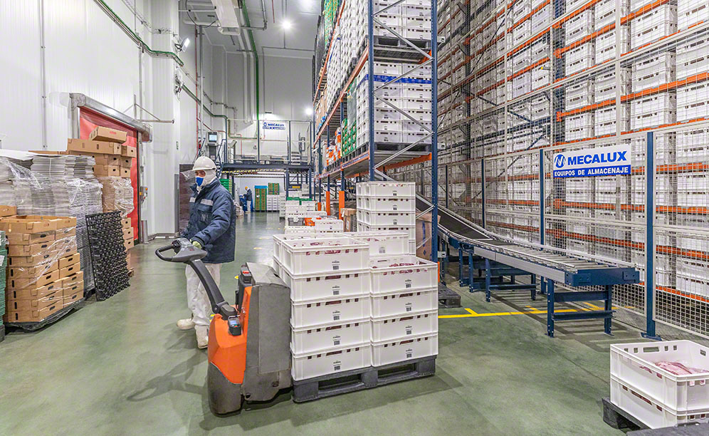 Stoccaggio automatico di oltre 32.000 contenitori a temperatura refrigerata